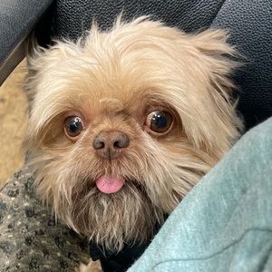 Meet your Posher, Gadiza